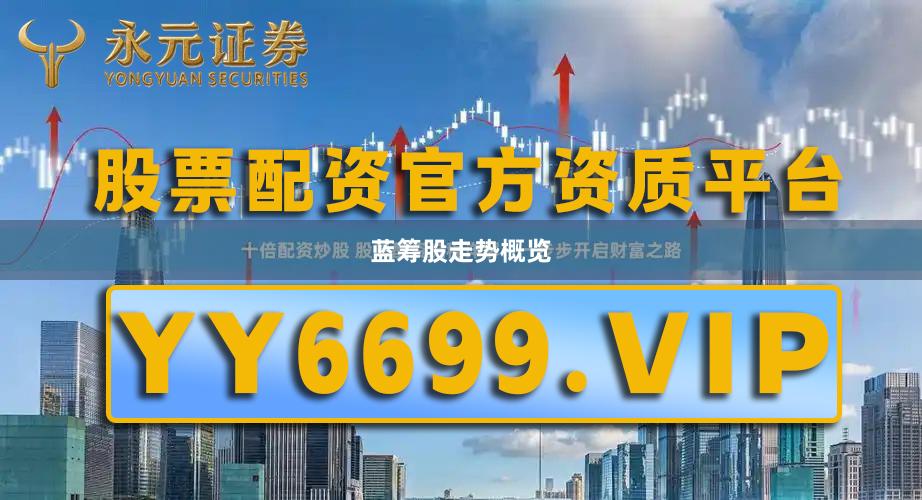 蓝筹股走势概览