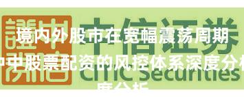 境内外股市在宽幅震荡周期中中股票配资的风控体系深度分析