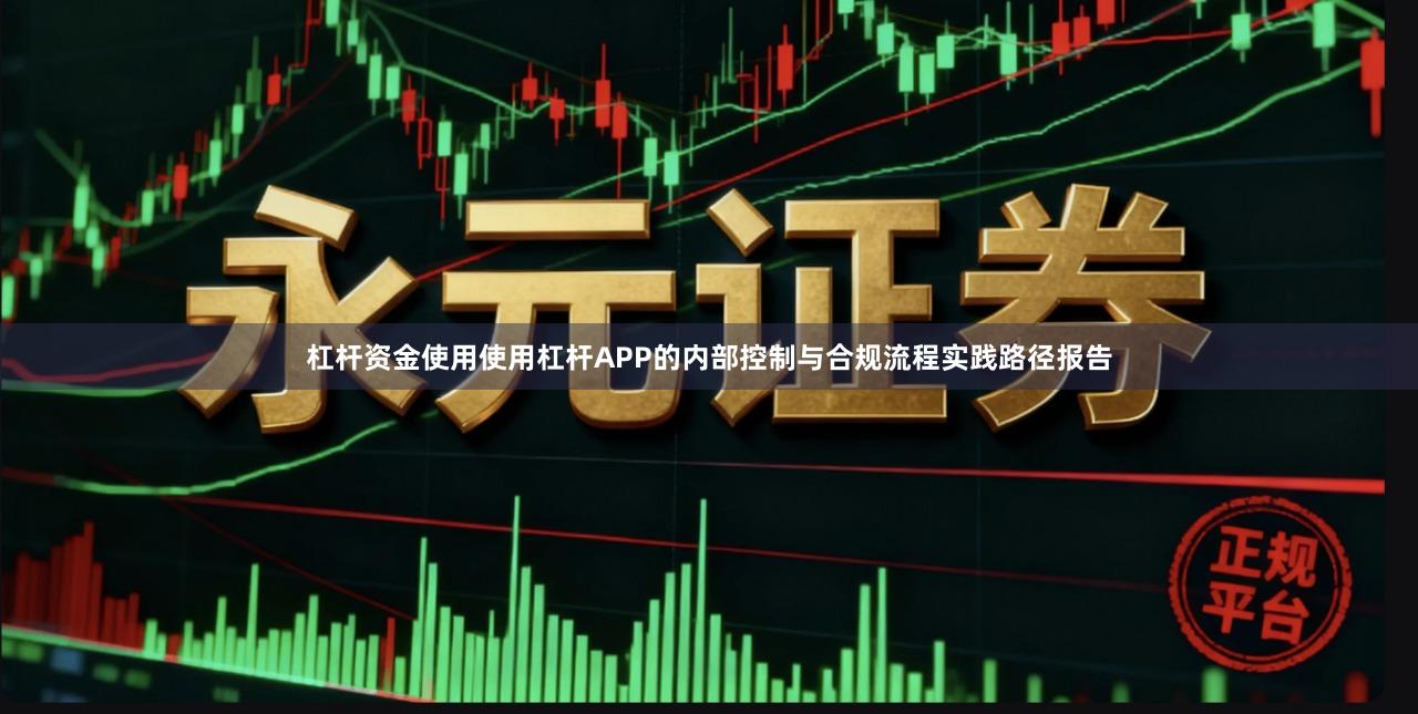 杠杆资金使用使用杠杆APP的内部控制与合规流程实践路径报告